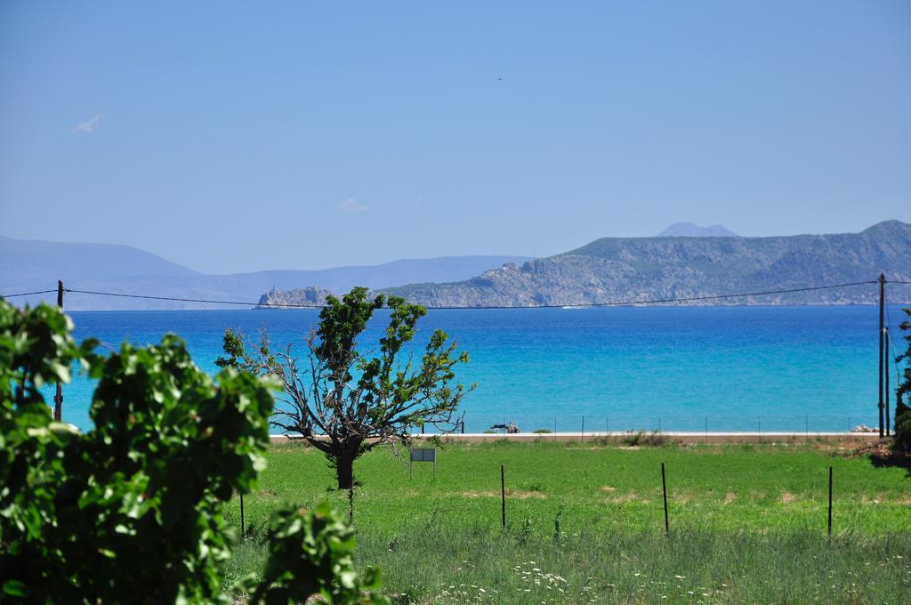 Phoenix Beachside Condos Kokkónion Екстериор снимка