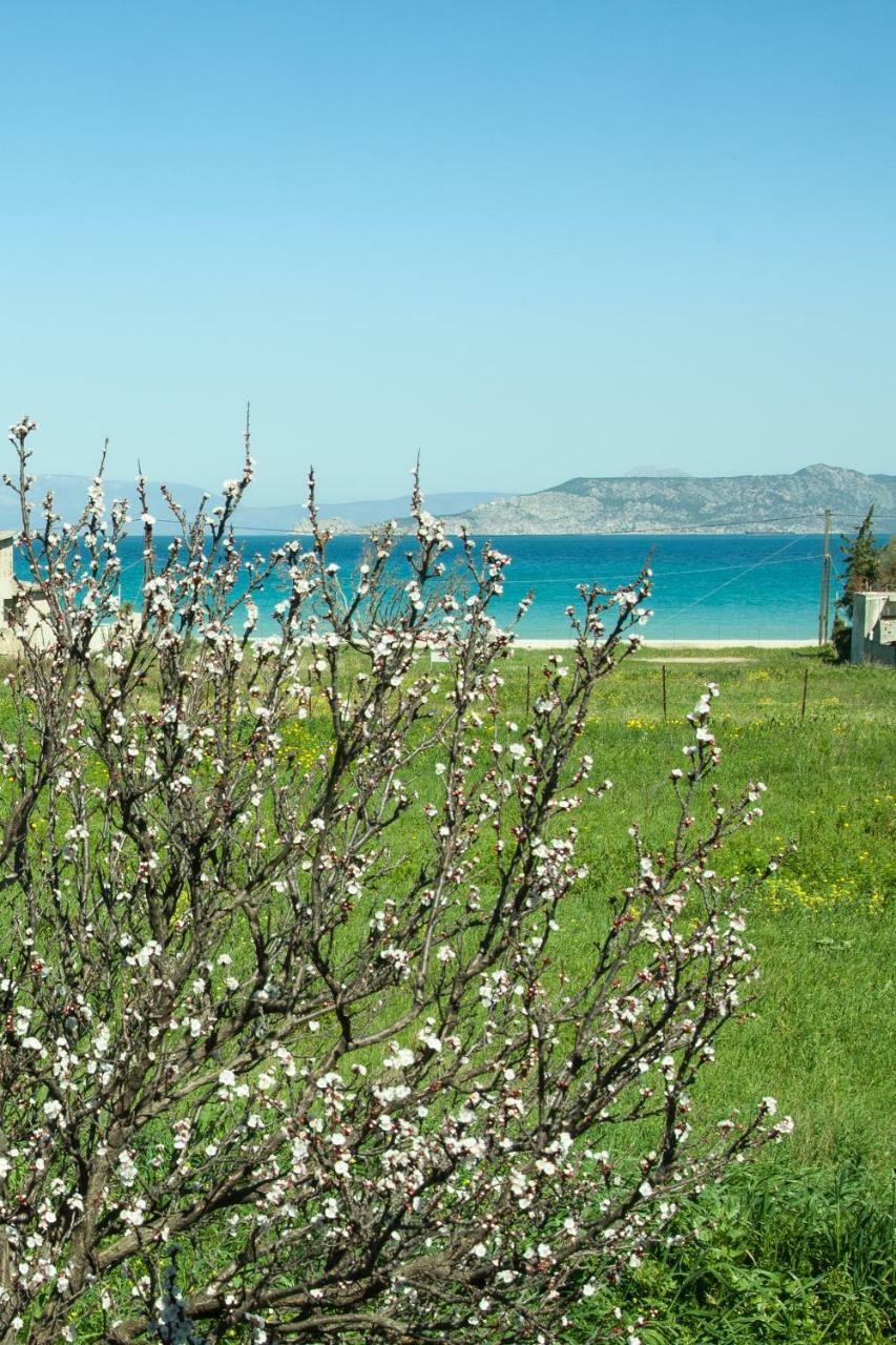 Phoenix Beachside Condos Kokkónion Екстериор снимка